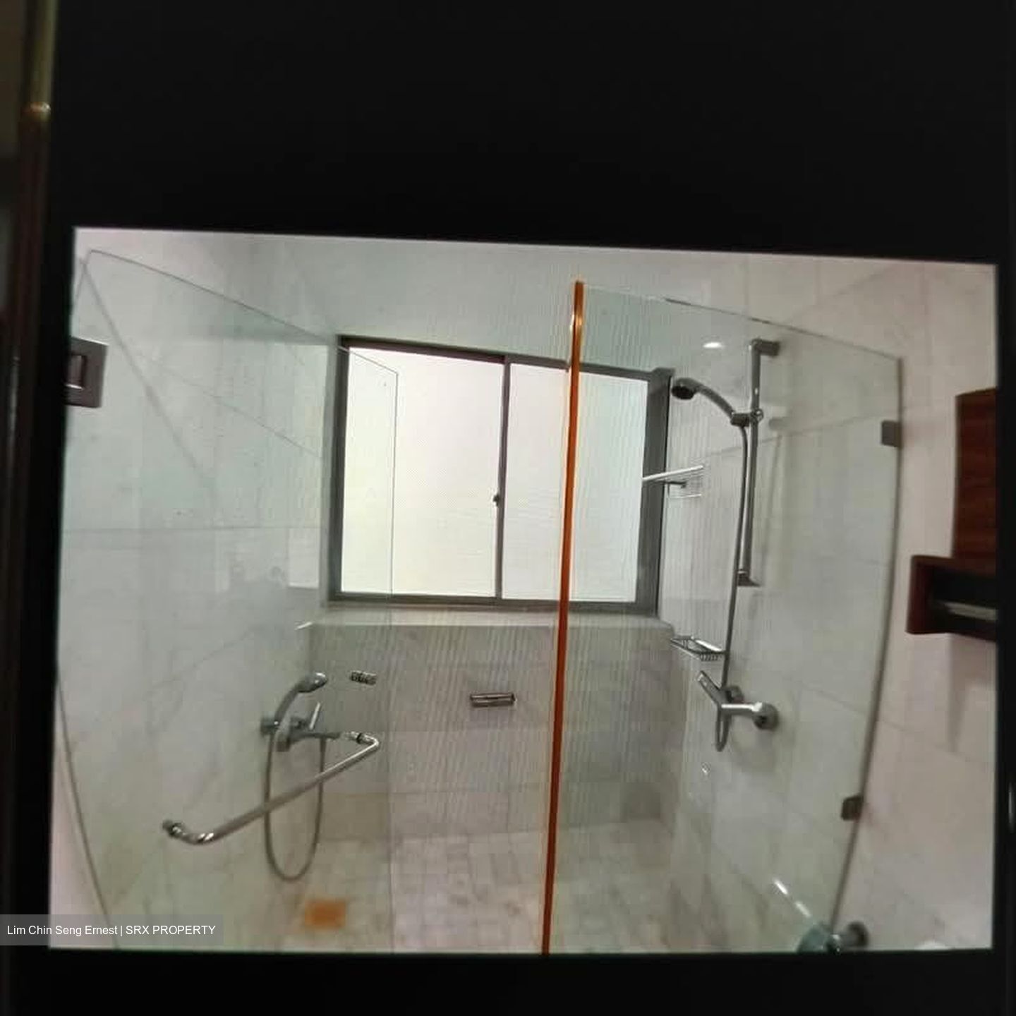 Gardenvista (D21), Condominium #575482761